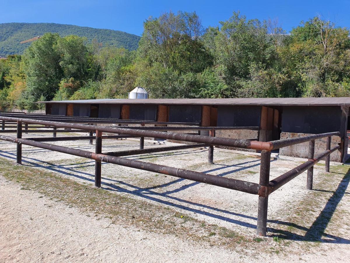 Chalet Il Vecchio Olmo