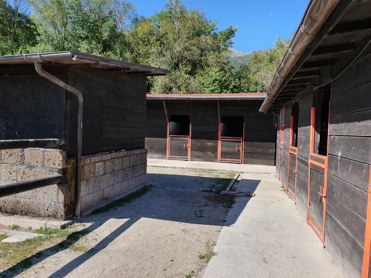 Il Vecchio Olmo Gagliano Aterno