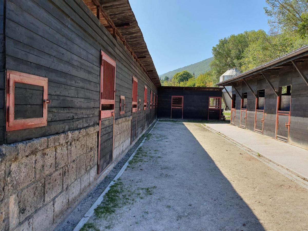Chalet Il Vecchio Olmo *