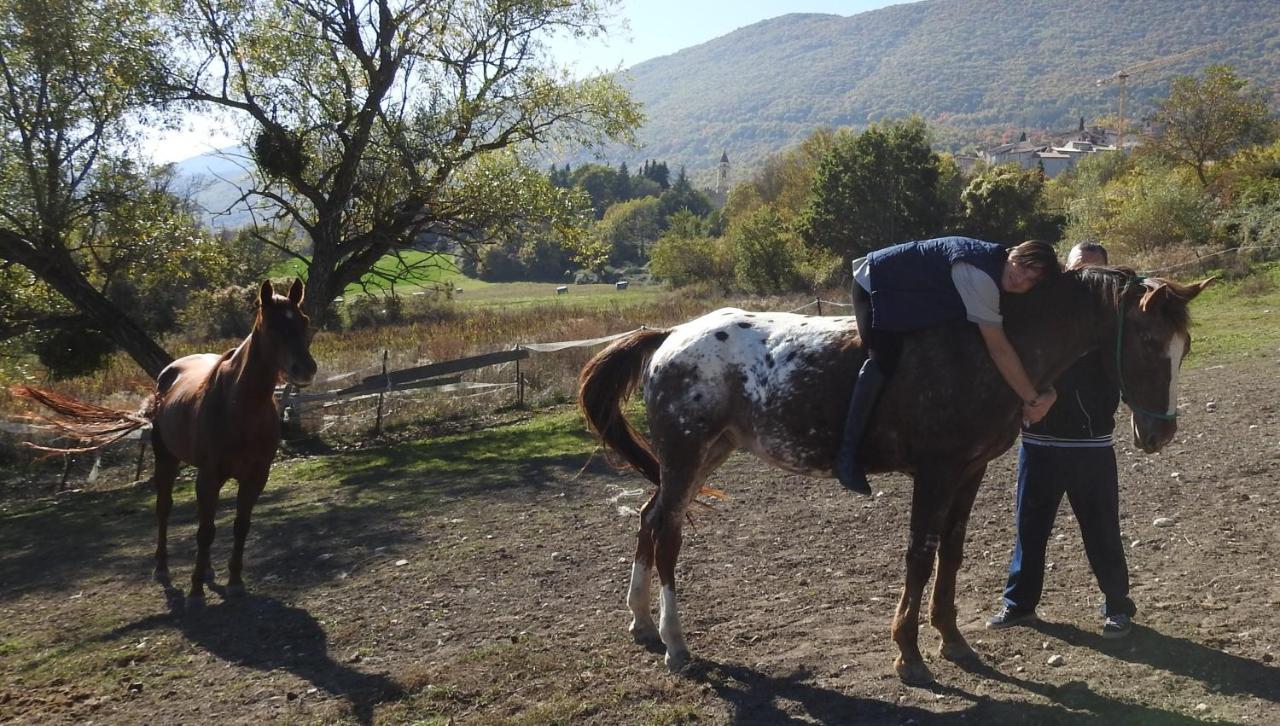 Il Vecchio Olmo * Gagliano Aterno