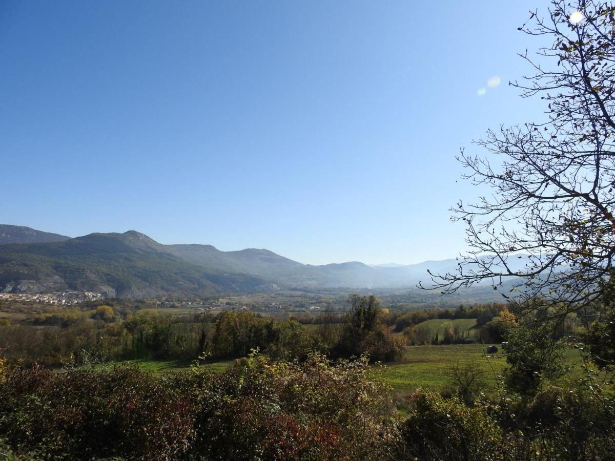 Il Vecchio Olmo *