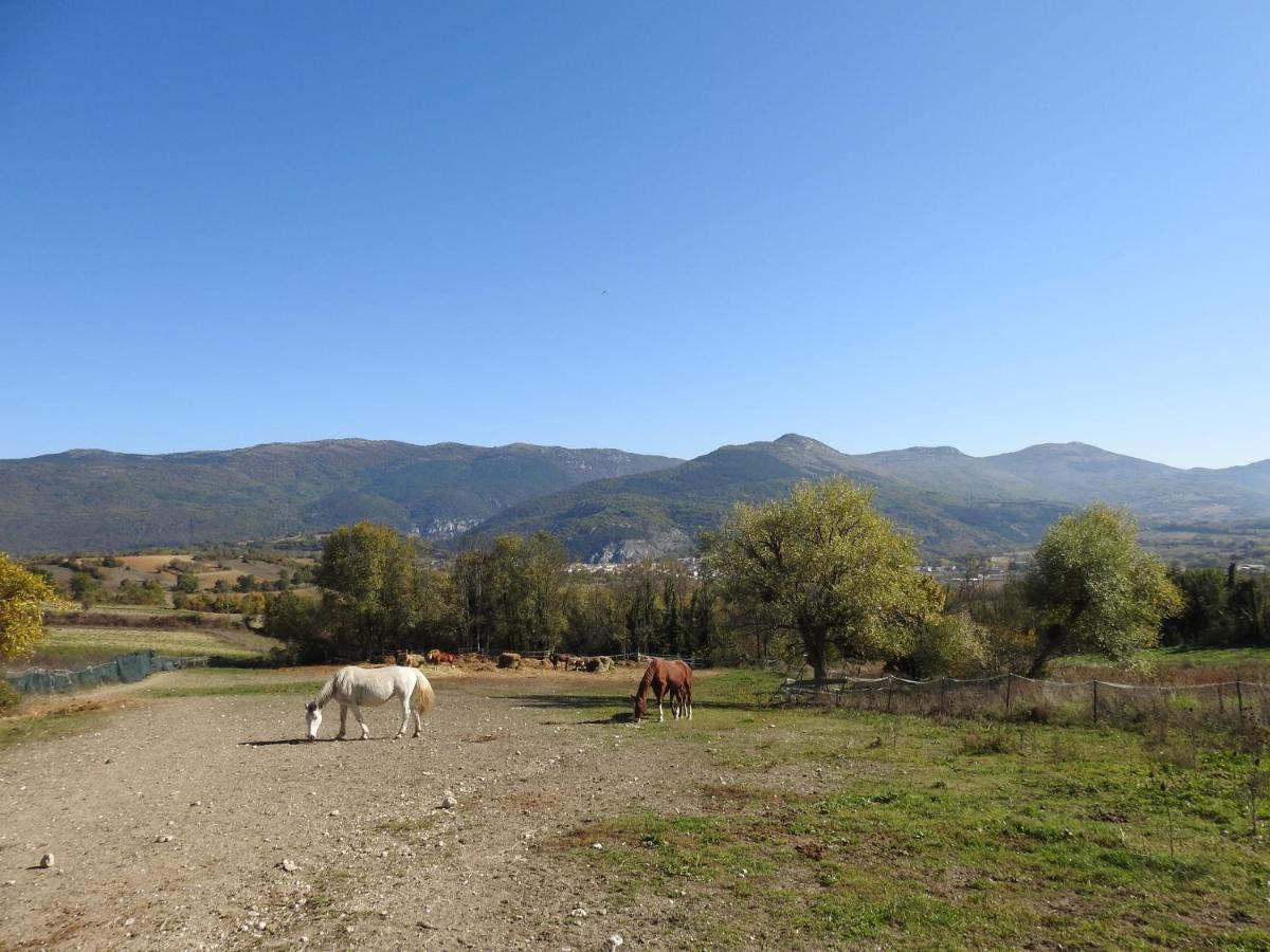 Chalet Il Vecchio Olmo Gagliano Aterno
